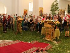 IMG_4311 Panorama