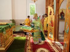 IMG_4455