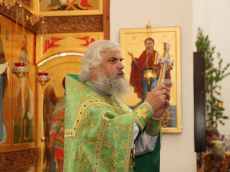 IMG_4561