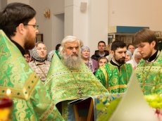 IMG_9637