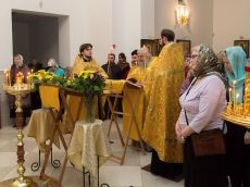 IMG_0005