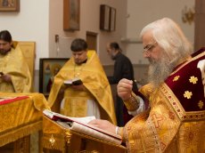 IMG_0078