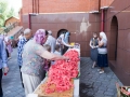 IMG_5201
