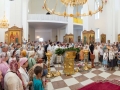 IMG_6428 Panorama