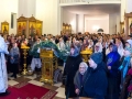 IMG_6858 Panorama