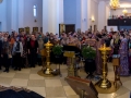 IMG_8982 Panorama