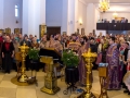 IMG_8992 Panorama
