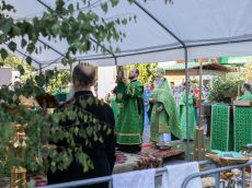 img_9822