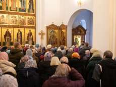 img_8288
