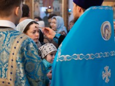 img_9031