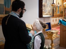 img_9049