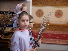 img_0223