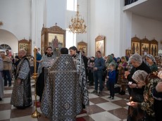 img_0831