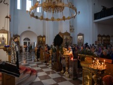 img_0862