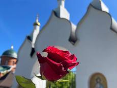 img_8153