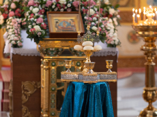 img_1865